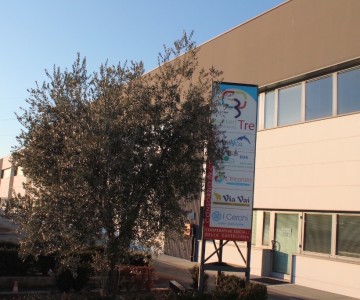Cooperative Sociali Castellane (Castelfranco Veneto)